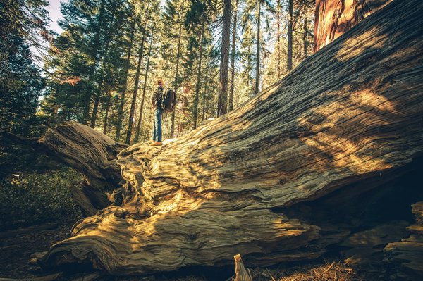 Comment planifier une découverte des volcans actifs du Nicaragua?